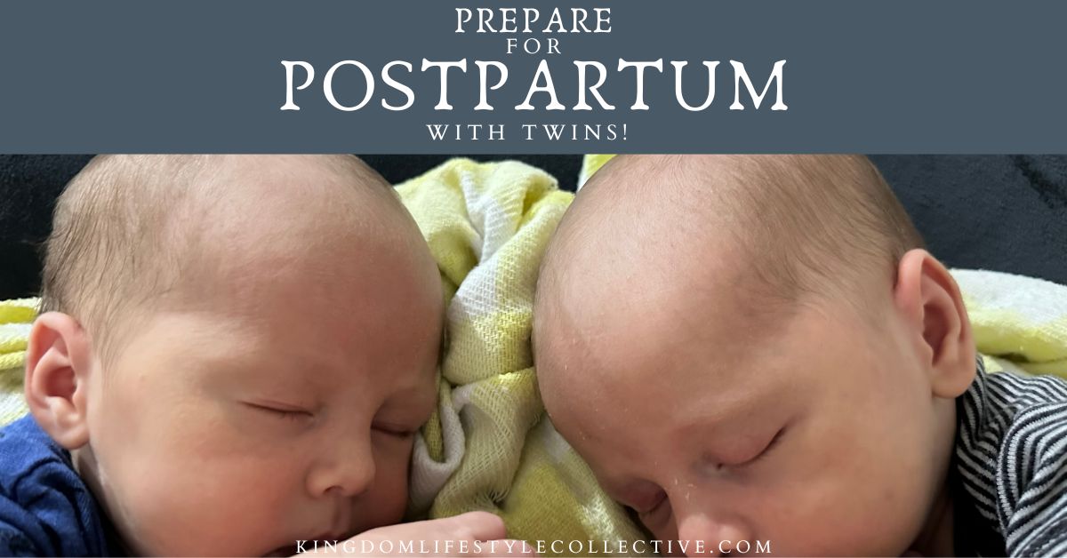 Postpartum with Twins