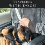 Traveling with Dogs